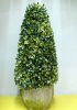 artificial topiary tree, plastic tree, plastic potted tree, plastic plant