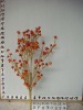 Wholesale christmas artificial flower