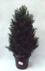 Wholesale artificial topiary tree, plastic tree, plastic potted tree, plastic plant