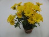 Wholesale artificial flower