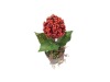 Wholesale mini artificial plant in the pot