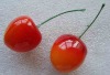 Wholesale Artificial fruit cherry for home and wedding decoration