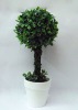 Wholesale aritificial topiary, plastic grass ball,artificial potted grass ball