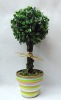 Wholesale aritificial topiary, plastic grass ball,artificial potted grass ball