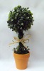 Wholesale aritificial topiary, plastic grass ball,artificial potted grass ball