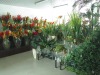 Wholesale artificial plant