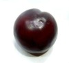 Artificial Fruit, Plum