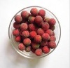 beautiful artificial fruit