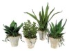 Wholesale Artificial Succulents plants,Succulent(BC45909)