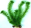 2011 new design style fashion artificial aquatic plants