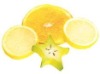 Artificial Fruit Slices - Assorted