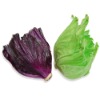 Wholesale Artificial Vegetable
