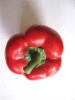 Wholesale Artificial vegetable