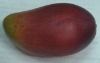 craft fruit