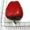 Wholesale Hotspot Artificial Pepper Vegetable
