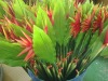Wholesale artificial flower