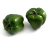 Wholesale verisimilar artificial vegetable