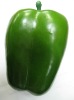 Wholesale Decorative foam vegetable
