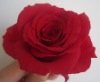 Wholesale handmade artificial flower 20colors