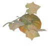 Wholesale all styles and sizes emulational artificial vegetable gifts
