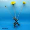Wholesale 3 heads Poppy - Artificial Flower