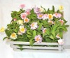 Wholesale artificial flower