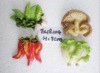 Wholesale Vegetable Resin Fridge Magnet in Home Decoration