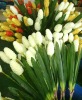 artificial plant