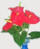 artificial flower 5 heads flamingo plant / Anthurium scherzerianum
