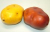 Artificial Potato Vegetable