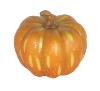 all styles and sizes emulational artificial vegetable gifts