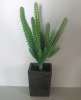 Artificial Succulents,Tropical plants