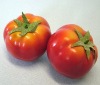Artificial Tomato Vegetable