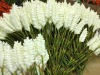 artificial plant