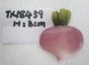 Wholesale Onion Resin Fridge Magnet in Home Decoration