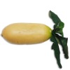 Wholesale Artificial Vegetable