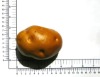 Wholesale Artificial vegetable Potato