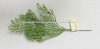 Wholesale Tiny flat cypress PE branch for artificial tree