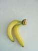 Wholesale Artificial Banana