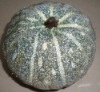 Wholesale artificial pumpkin