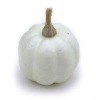Wholesale artificial vegetable