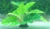 Aquarium Silk Plant, Aquarium Decorations