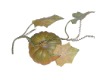 Wholesale all styles and sizes emulational artificial vegetable gifts