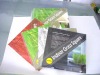 New product Indoor Grass Square mini plant