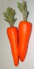 Wholesale Artificial Carrot Vegetable
