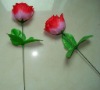 Wholesale single stem flowers