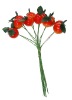 2011 all type artificial fruit artificial flower (artificial fruit style series)