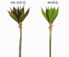 Wholesale artificial plant magnolia