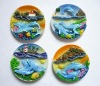 Wholesale 2011 hot sale 3D Tourism souvenir Fridge Magnets (M31008)