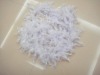 Wholesale Decorative Ostrich Feathers